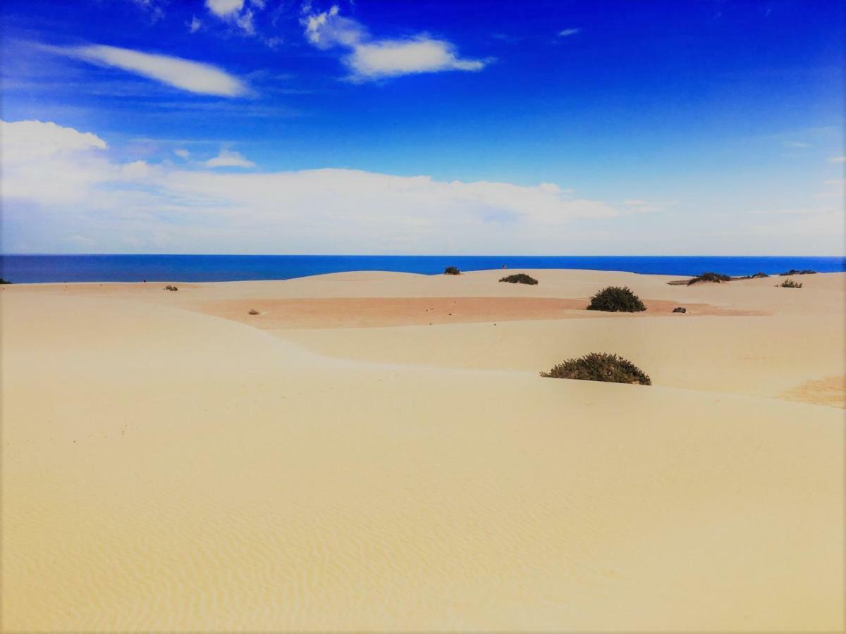 Corralejo Sun 202 Apartment Екстериор снимка
